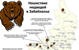Медвежья доля