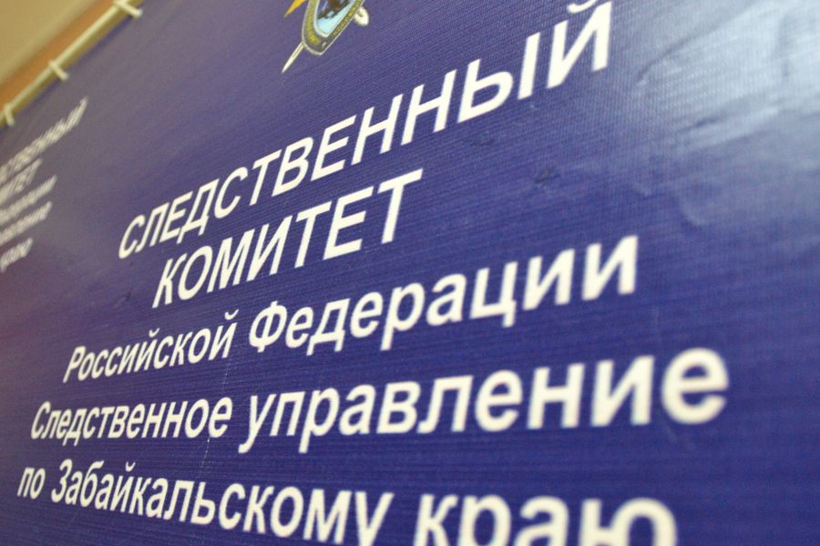 Следком проверит информацию СМИ о нападении собак на ребенка в Чите