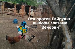 ​Шок-видео! Выборы губернатора Заяблонья глазами «Вечорки» 18+