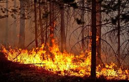 ​Лесной пожар в Кыринском районе перекинулся на Монголию