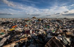 Генпрокуратура вмешалась в историю выдачи дальневосточного гектара на месте свалки в Забайкалье 