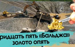 В тридцать пять «Бальджа» золото опять
