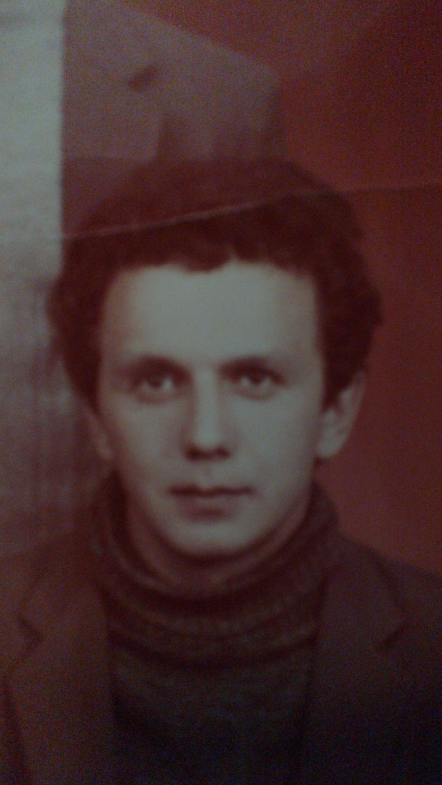 Медведица