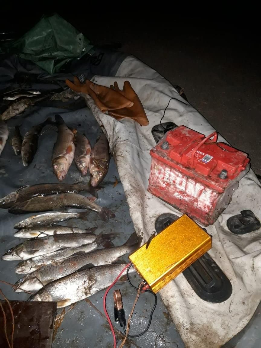 Двум забайкальцам грозит срок за рыбалку электроудочкой