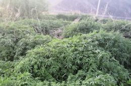 Красивый город с некрасивыми проблемами 