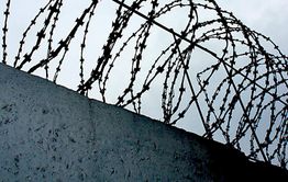 Пожилая читинка получила 8 лет колонии за убийство сына   