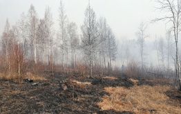 Из-за бездействия людей, лесной пожар в одном из районов Забайкалья разросся в 380 раз 