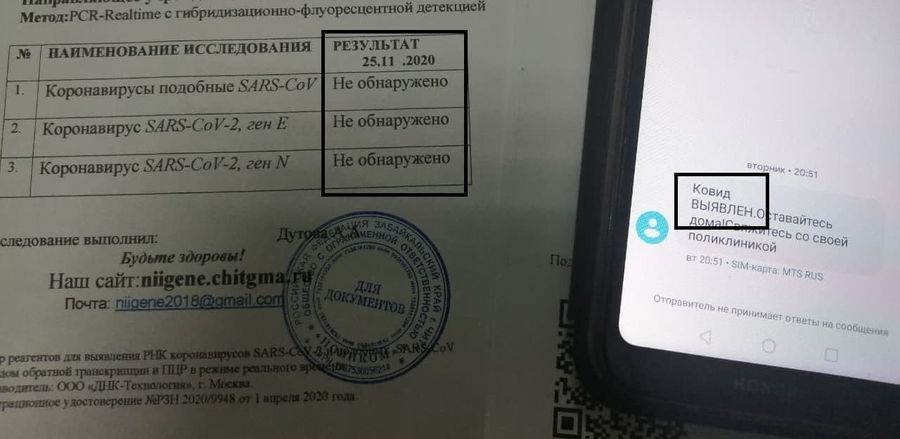 Сдал анализ на ковид — и получил два разных результата
