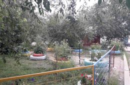 Одни отписки от властей