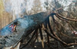 Gazetavechorka.ru сообщает