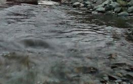 ​Молодой мужчина утонул на карьерах в Борзе