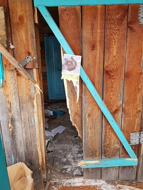 ​Медведь разнес кордон в нацпарке «Чикой»