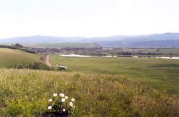 Родословные Забайкалья. Зыряновы из Дамасово (3)
