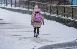 Школьница, которая пропал в Засопке, найдена живой