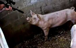 Пенсионерка из Ясной просит помочь крестьянам Забайкалья