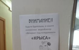 Одного из работников детсада в Ясногорске назвали «Крысой из «Вечорки» после публикации о протекающей крыше 