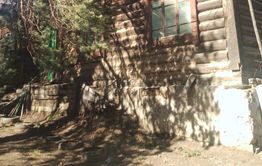 Дерево повредило крышу дома вдовы СВО в Лесном городке