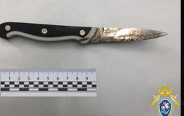 Уголовное дело в отношении подростка, который убил свою 14-летнюю подругу на КСК, направлено в суд
