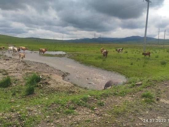 В Забайкалье подтоплена часть села