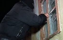 Дачный воришка пойман