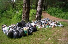 В Дровяной нет бани, а лес вокруг поселка завалили мусором
