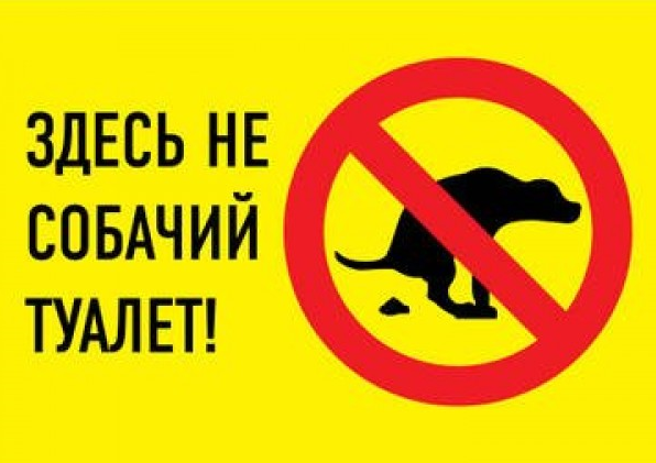 На площади Декабристов нельзя будет выгуливать собак. Вообще. Но это не точно.