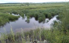 Уровень воды повысился на некоторых реках Забайкалья