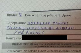 Почти 200 сайтов с информацией о продаже запрещенных веществ закрыли в Забайкалье