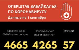 Еще 33 человека заразились коронавирусом за сутки в Забайкалье. Столько же вылечилось.