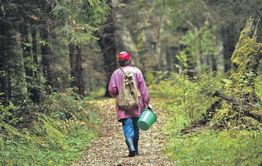 50-летняя женщина заблудилась в лесу под Читой