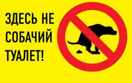 На площади Декабристов нельзя будет выгуливать собак. Вообще. Но это не точно.