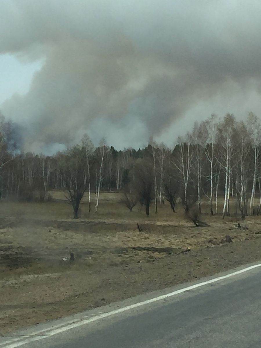 Лес вспыхнул из-за брошенного окурка в Забайкалье 