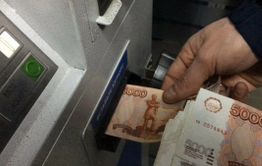 Почти 2 млн рублей присвоили мошенники при отлове собак в Забайкалье