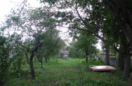 Жители Воронежской области предложили переехать пострадавшим от паводка забайкальцам к ним в село
