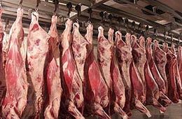 Бурятия готовится принять мясо из Монголии