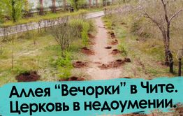 Журналисты подарили Чите аллею из 132 деревьев