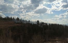 Батарейная сопка горит в Чите (видео)