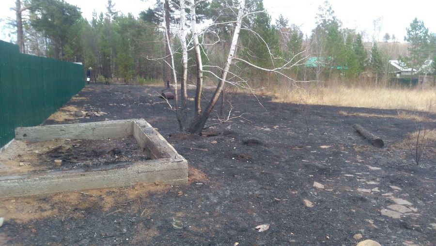 За селом Угдан сгорели дачи