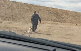 Забайкалец задушил собаку на глазах у детей и протащил ее по улицам поселка