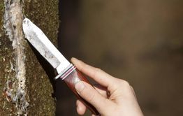Забайкалка зарезала своего 40-летнего сына