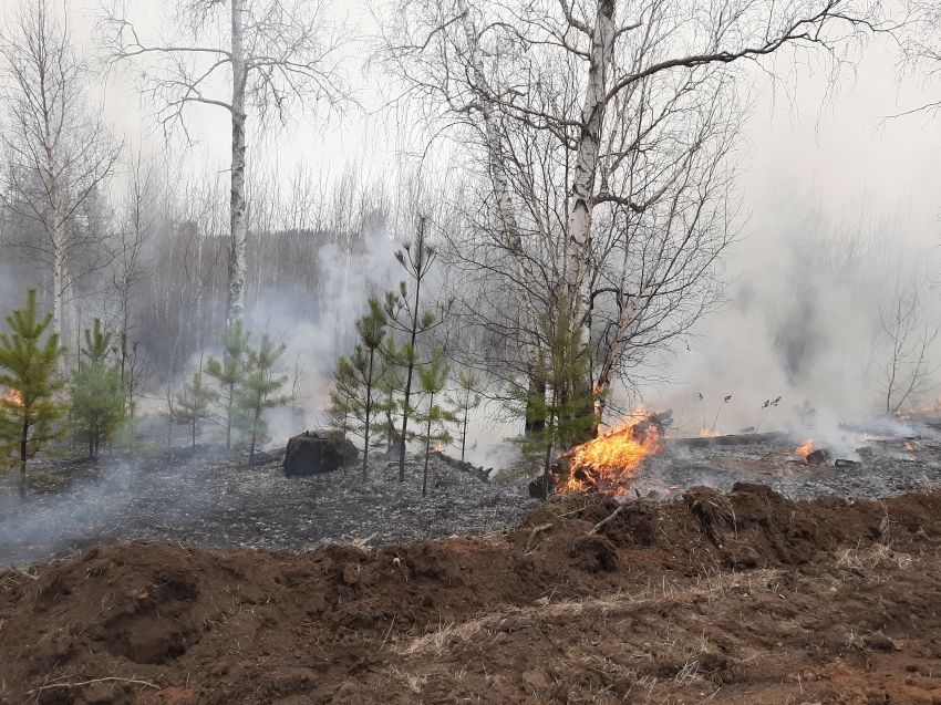 На территории Забайкалья действуют 12 пожаров