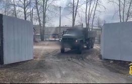 10 миллионов рублей - ущерб от вырубки деревьев в Чернышевском районе