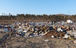 ​Петиция с требованием запретить создание свалки на Тасее появилась в Сети