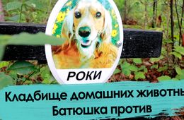 Кладбище домашних животных. Чита.