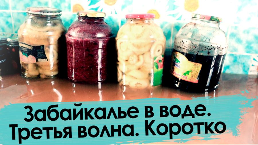 Наводнение-2021. Третья волна. Сюжет без слов.