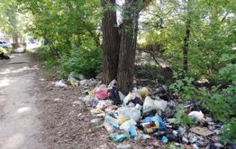 Общегородской субботник пройдет 26 августа в Чите