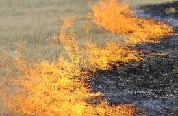 В семи районах Забайкалья открыли пожароопасный сезон
