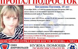 Пропавшая в Чернышевске школьница найдена
