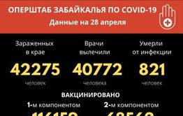 Меньше 30 новых случаев коронавируса зафиксировали в Забайкалье за сутки