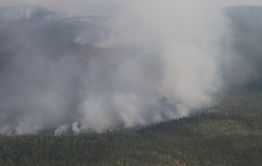 ​Забайкальцам с 10 апреля запретили посещать леса